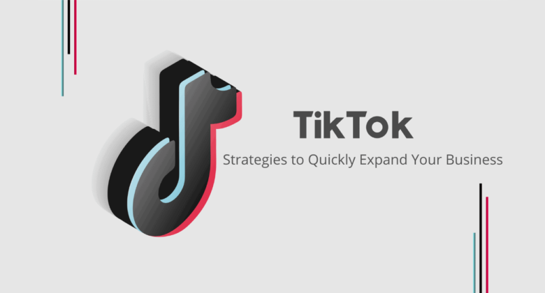 Trollishly A Beginner's Guide to Using TikTok Lead Generation Ads